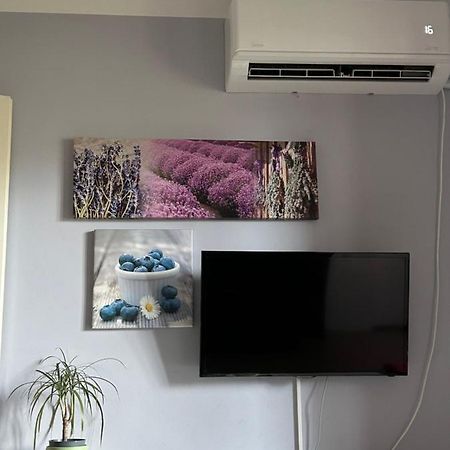 Kreation Rainbow Apartment Клуж-Напока Екстериор снимка