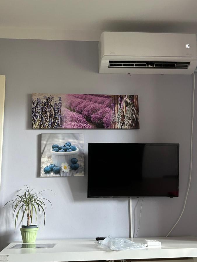 Kreation Rainbow Apartment Клуж-Напока Екстериор снимка